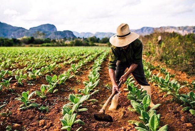 Farm Worker Job in Canada