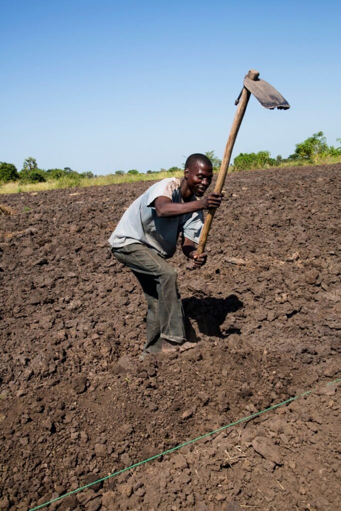 Farm Worker Job in England
