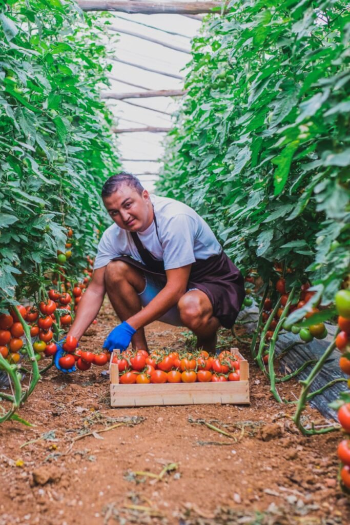 Farm woker Job in Mexico