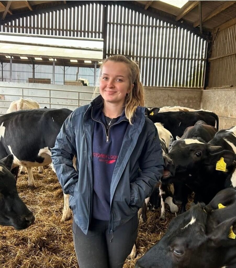 Dairy Farm Worker Job In Usa