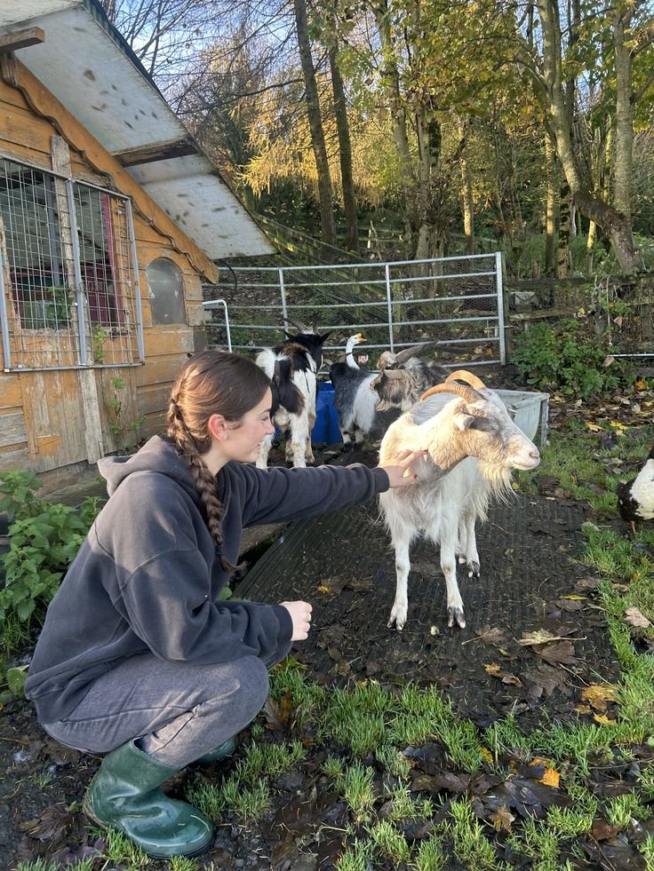Animal Caretaker Job In Mexico