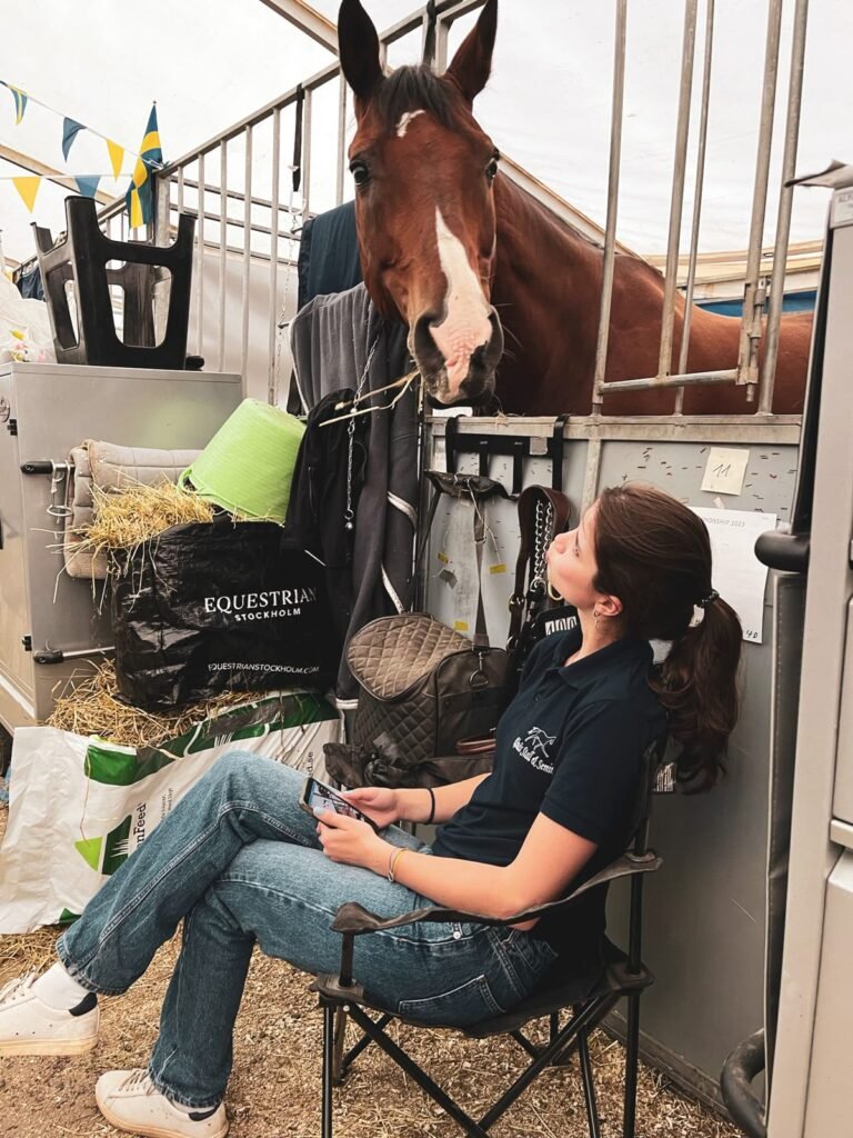 Stable Attendant Job In Mexico