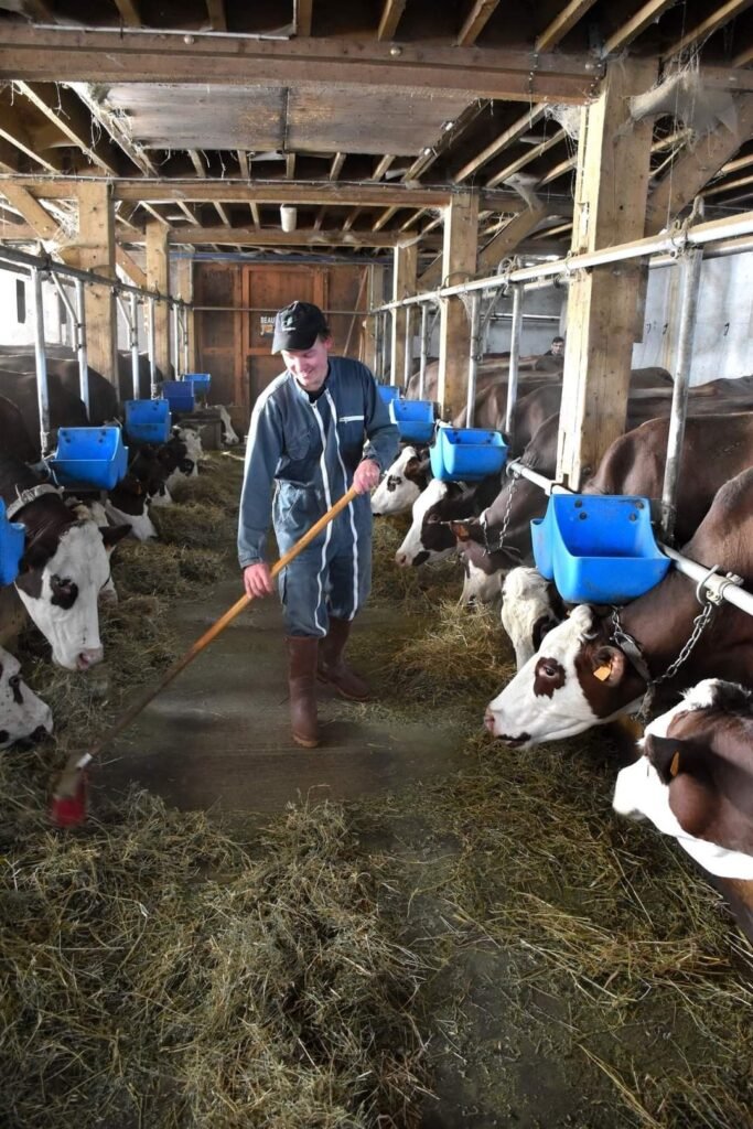 Farm Worker Job In Canada