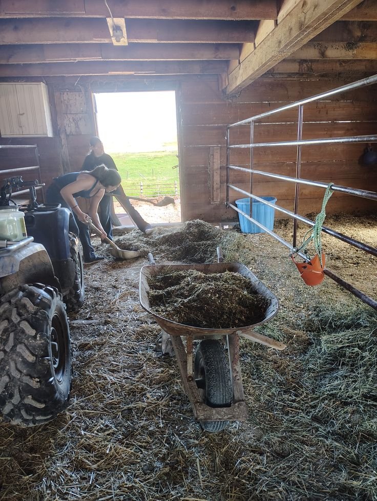 Farm Cleaner Job In New Zeland