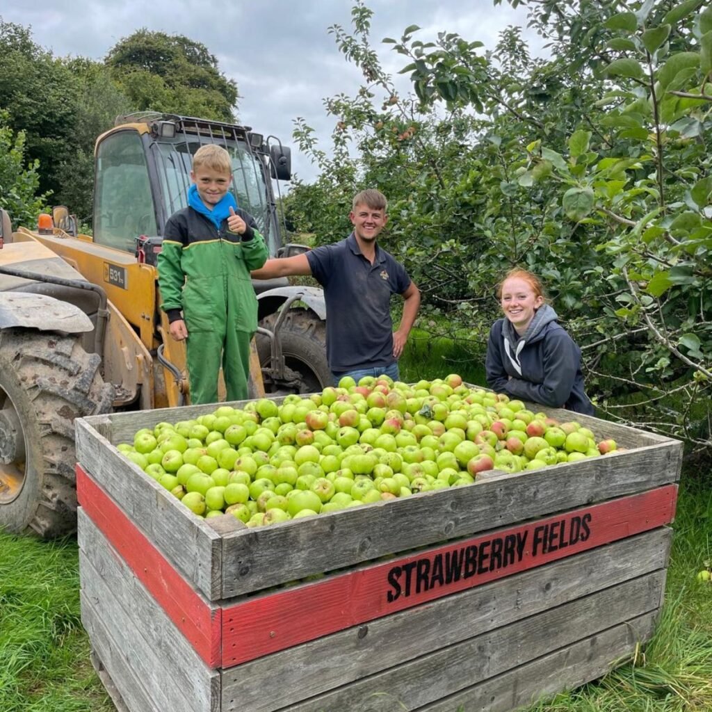 individuals Job in New Zealand