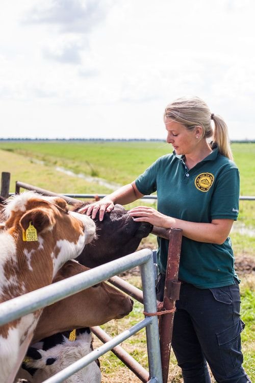 Dairy Farm Assistant Job In New Zeland