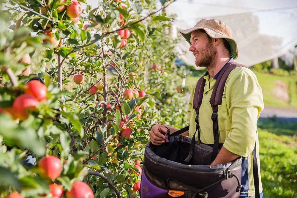 Fruit Farm Worker Job in Canada