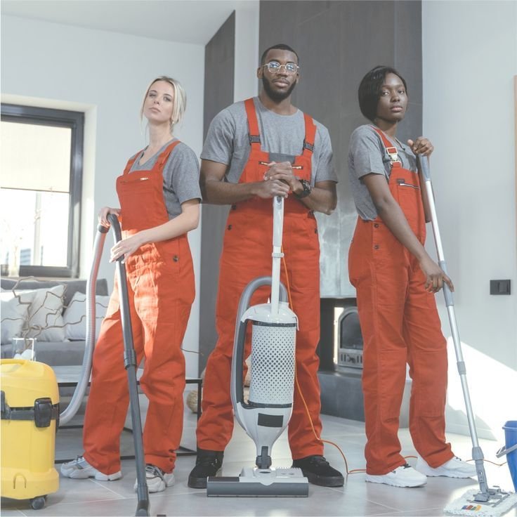 Cleaner Job In New Zeland