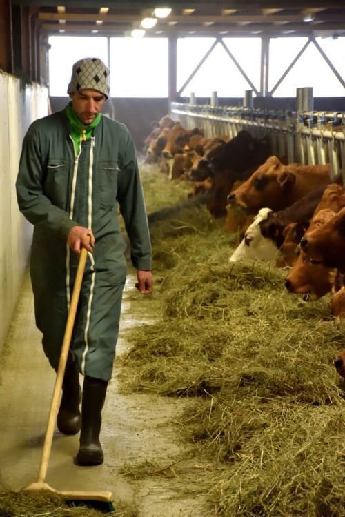 Farm Services Worker Job in Canada