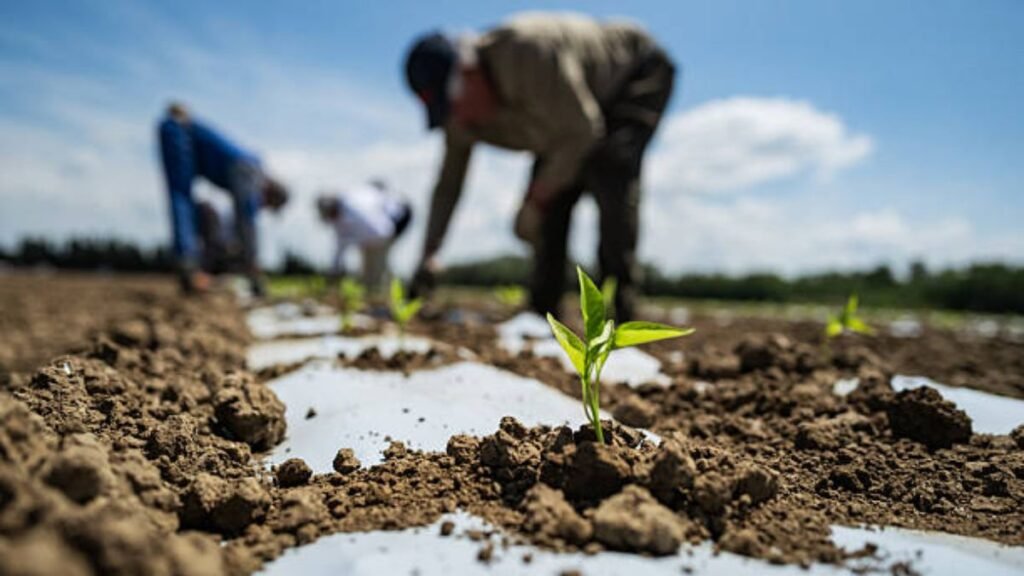 Canada Agriculture Jobs