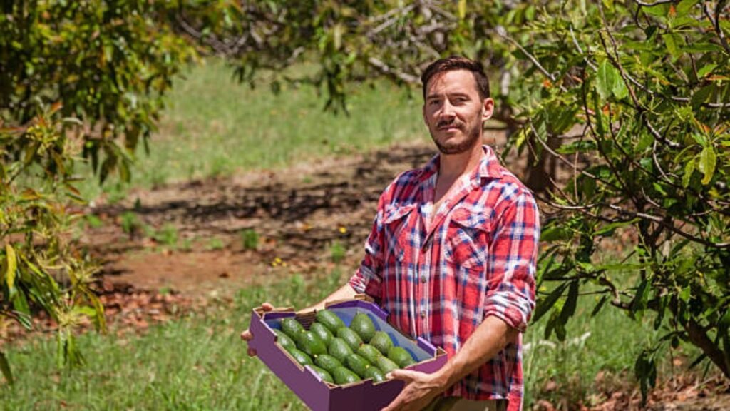 Seasonal Farm Work in Australia