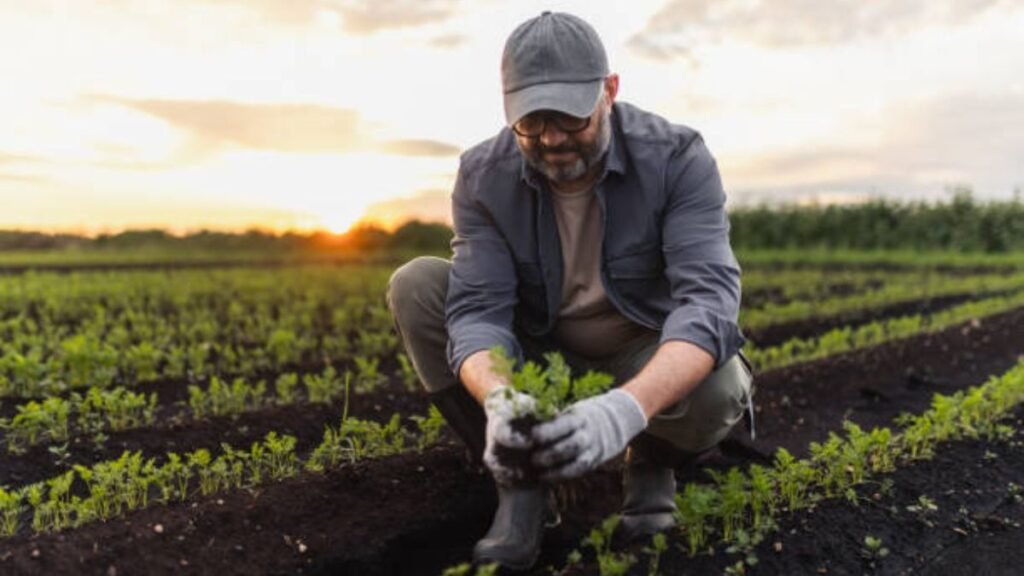 Farm Assistant Jobs in England