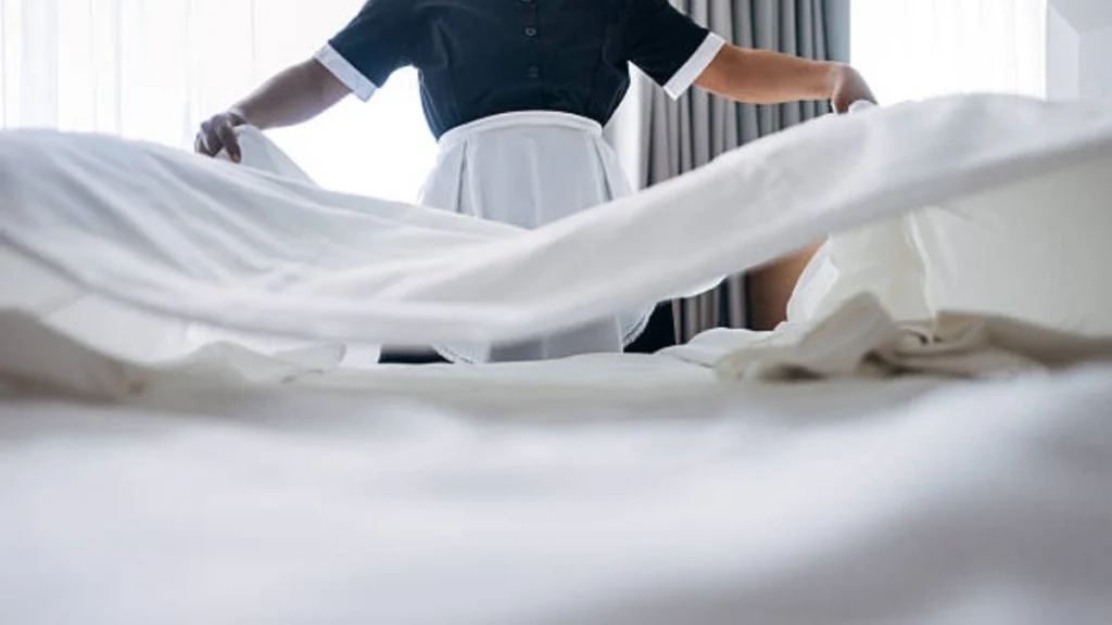Housekeeper Job in Czechia